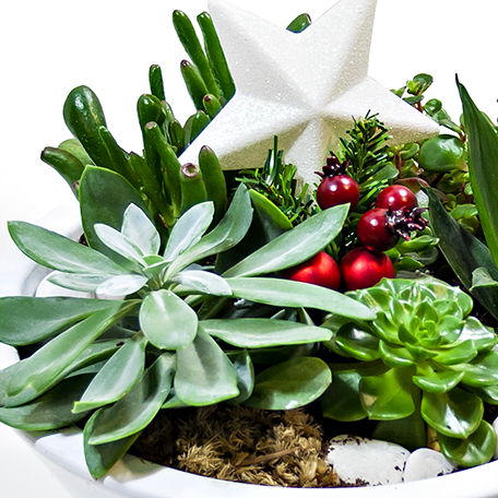 Produto: Naturalmente Natal